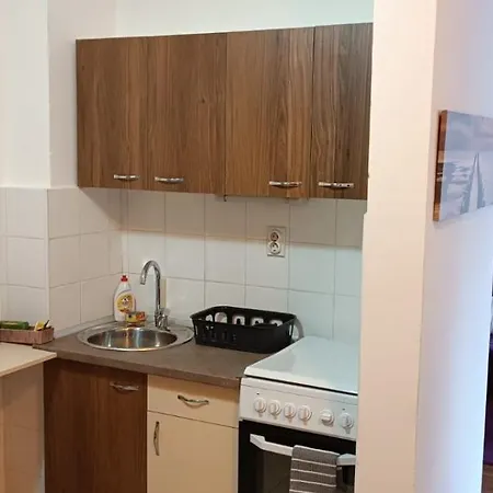 Splendid Two Bedroom Anastas Mitrev 25 Apartman Szkopje